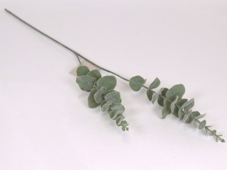 Dirbtinės žaluma - eukaliptas