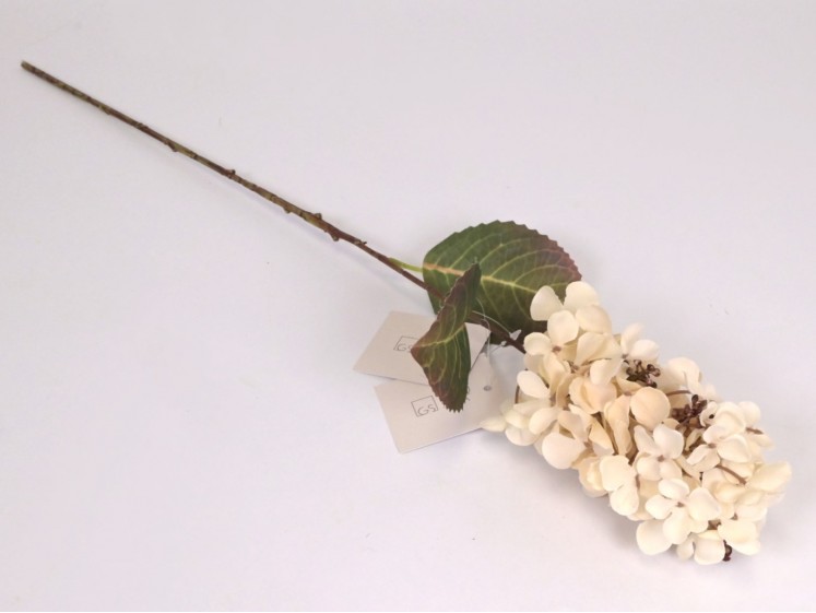 Hortenzijos šakelė