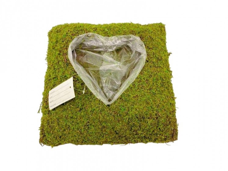 Pintas indas - širdis samanota