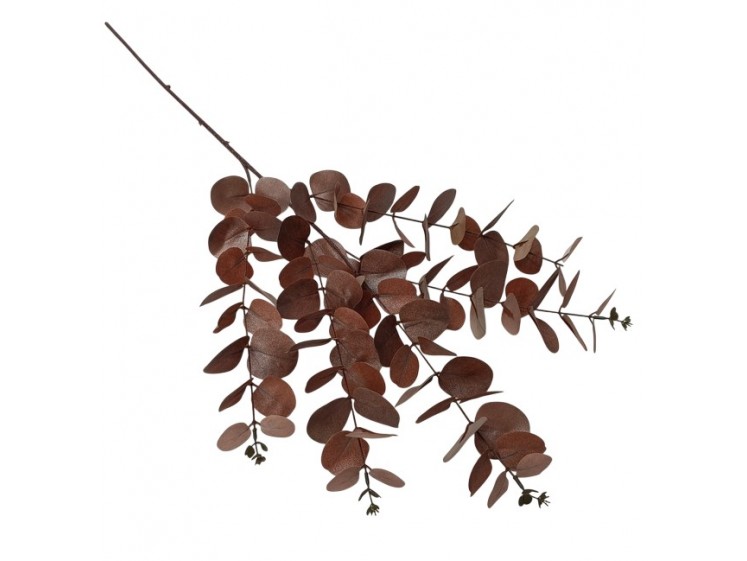 Kalėdinė eukalipto šaka