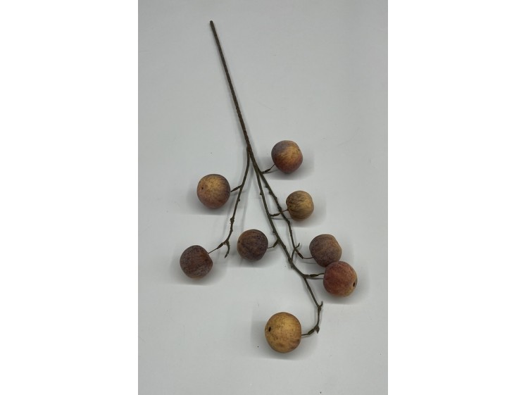 Dirbtiniai vaisiai ant šakos