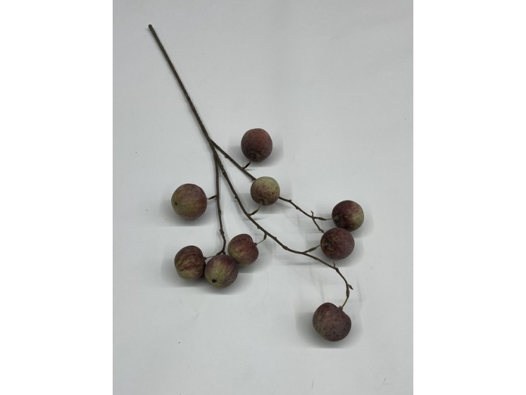 Dirbtiniai vaisiai ant šakos