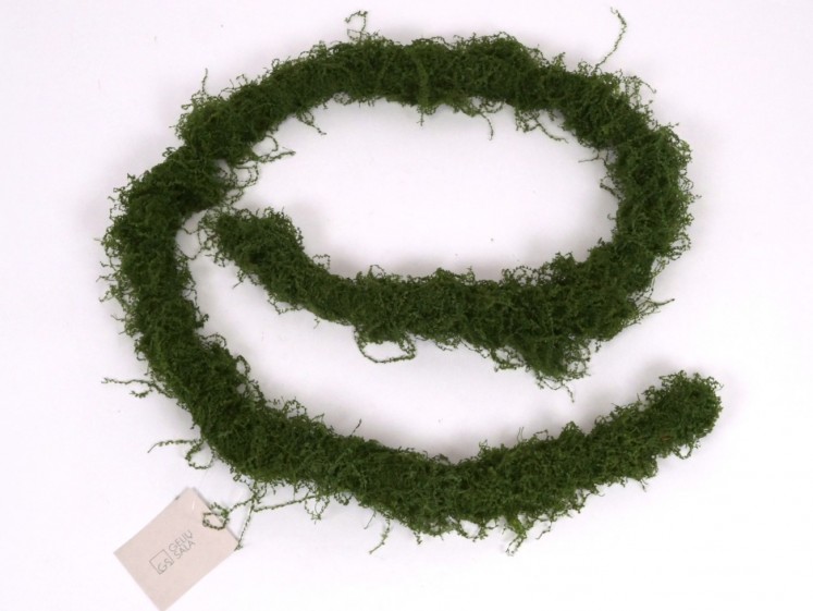 Atogrąžų miško vijoklis