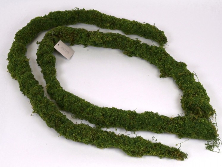 Atogrąžų miško vijoklis