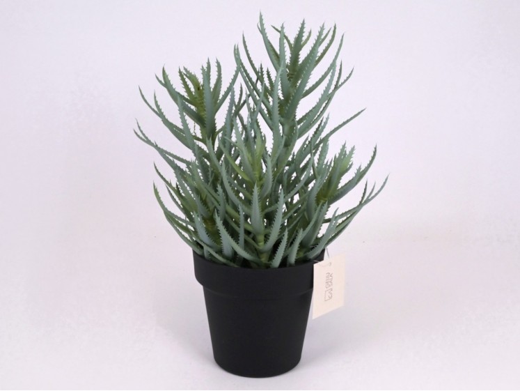 Dirbtinė žaluma vazone