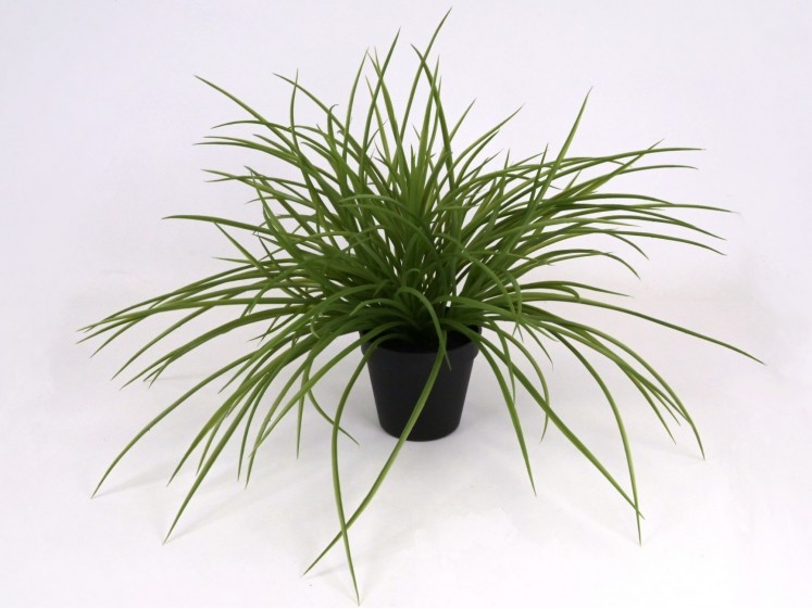 Dirbtinė žolė-smilga vazone