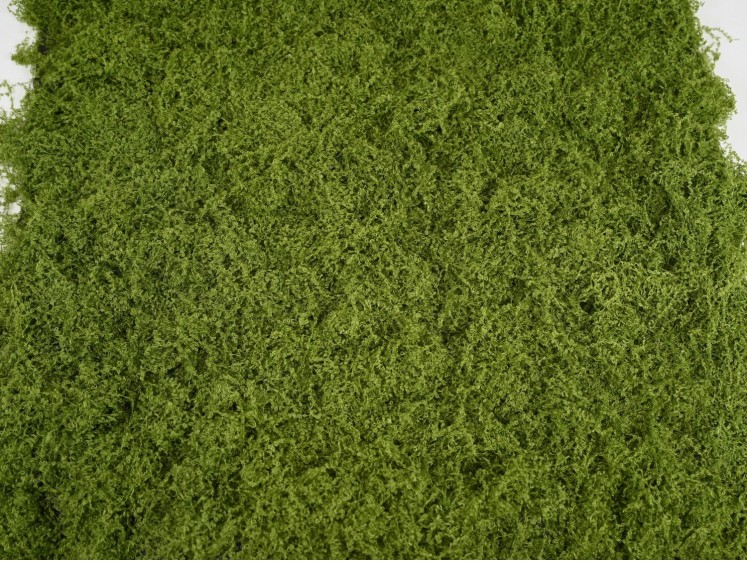 Samamų kilimas LTGR