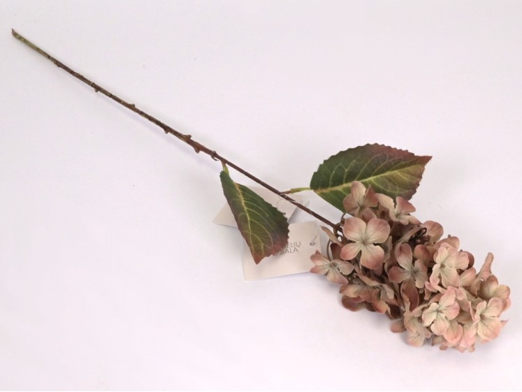 Hortenzijos šakelė