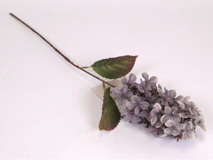 Hortenzijos šakelė