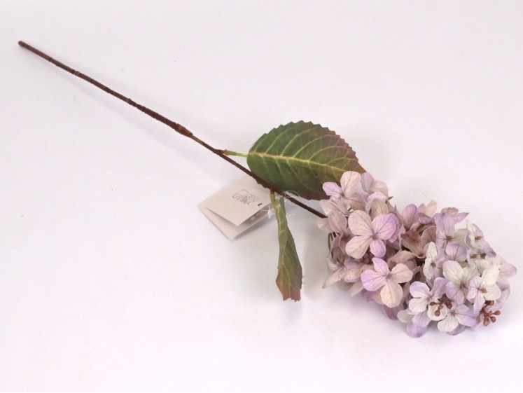 Hortenzijos šakelė