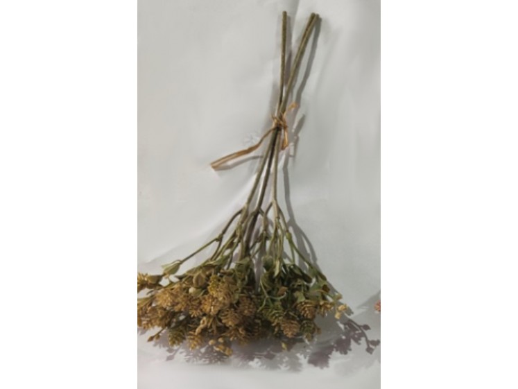 Dirbtinės žalumos krūmelis