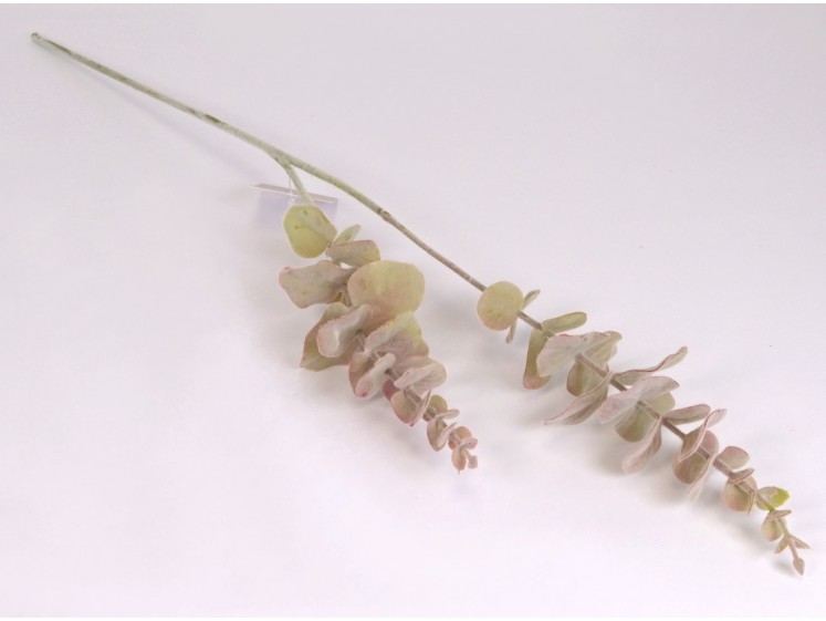 Dirbtinės žaluma - eukaliptas