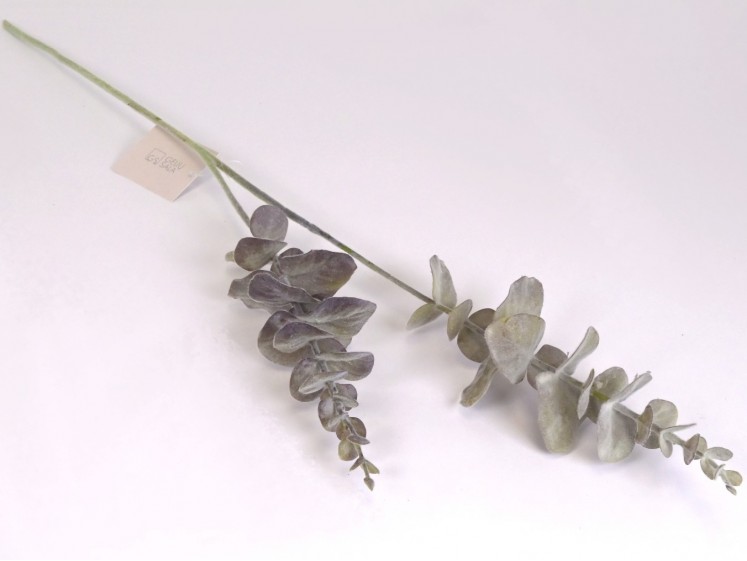 Dirbtinės žaluma - eukaliptas