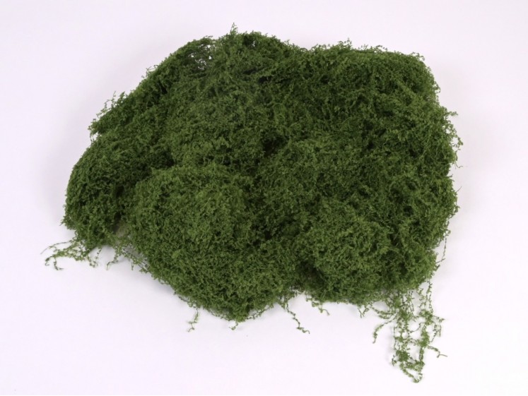 Dark Green Soft Silk...