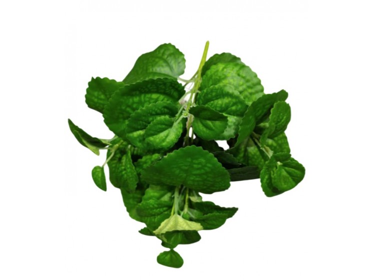 Dirbtinės žalumos krūmas