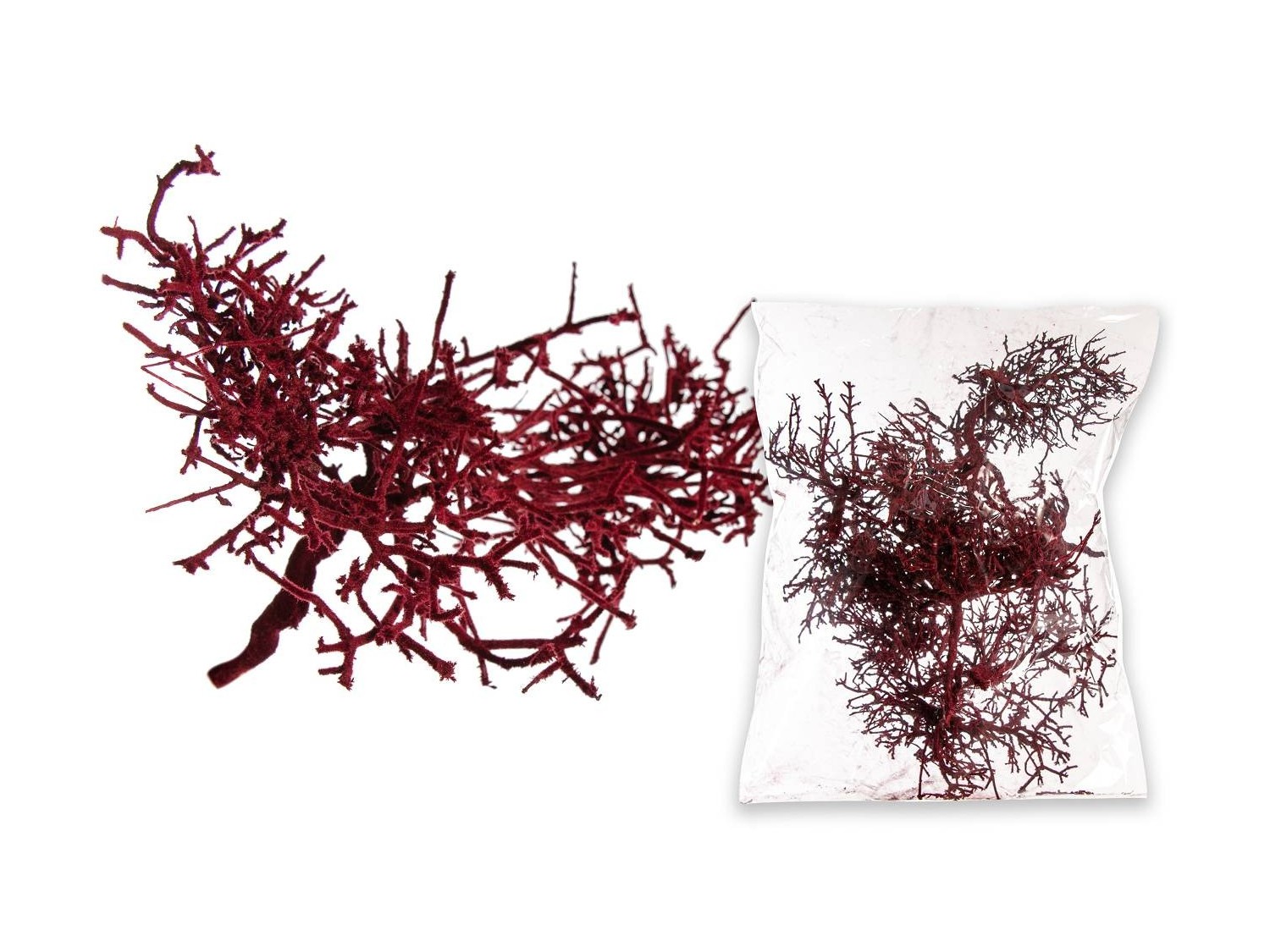 Dry Bush (velvetinis)