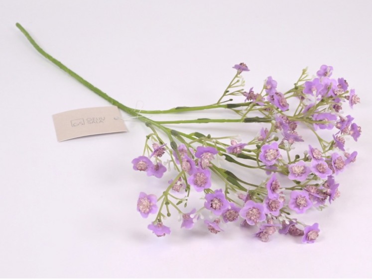 Dirbtinė gipsofilė