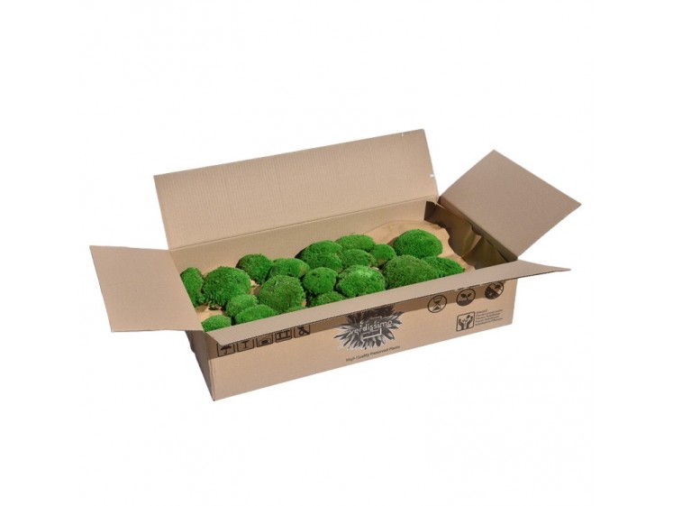 Stabilizuotos kamuolinės samanos