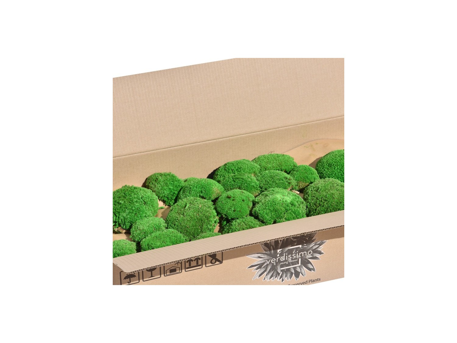 Stabilizuotos kamuolinės samanos