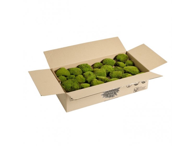 Stabilizuotos kamuolinės samanos