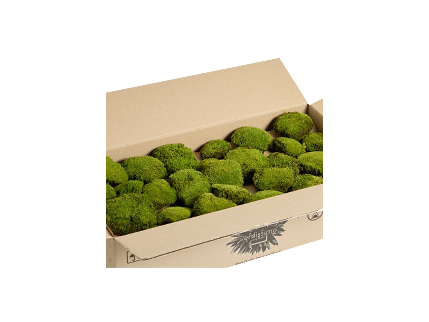 Stabilizuotos kamuolinės samanos