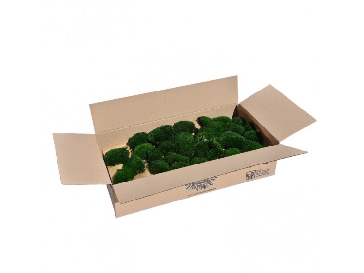 Stabilizuotos kamuolinės samanos