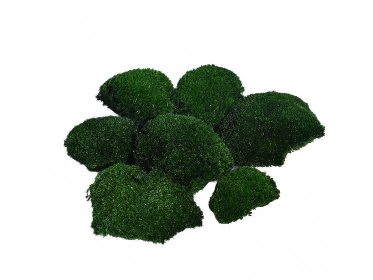 Stabilizuotos kamuolinės samanos