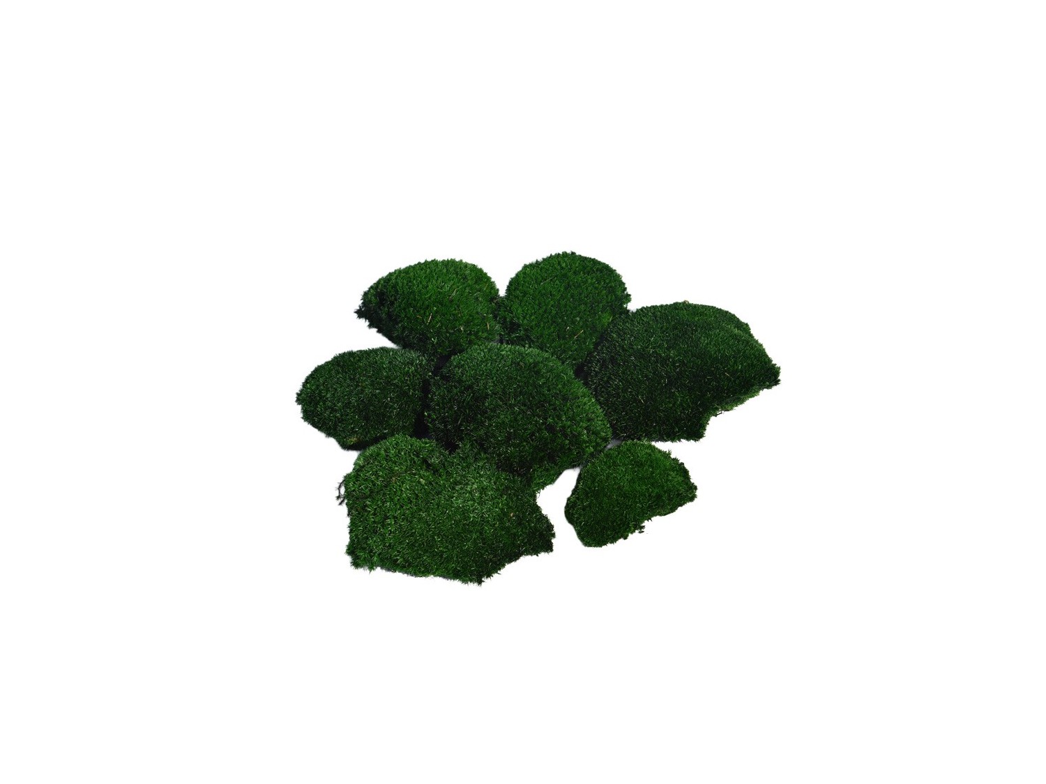 Stabilizuotos kamuolinės samanos