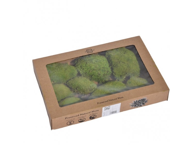 Stabilizuotos kamuolinės samanos