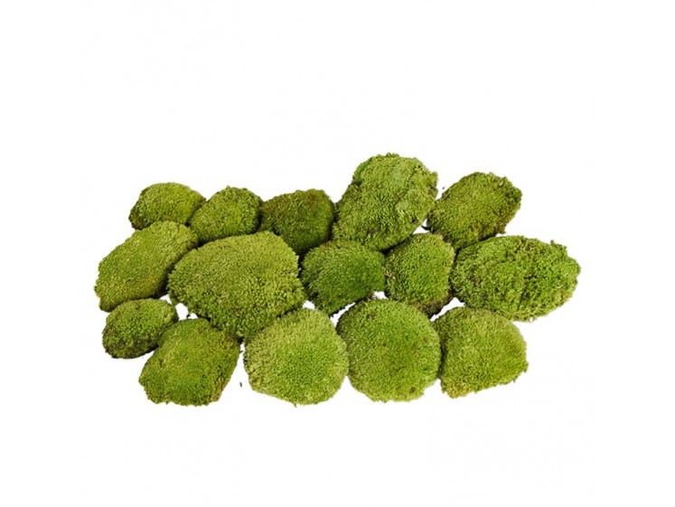 Stabilizuotos kamuolinės samanos