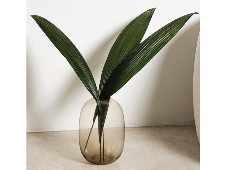 Stabilizuoti lapai "Palm grass"