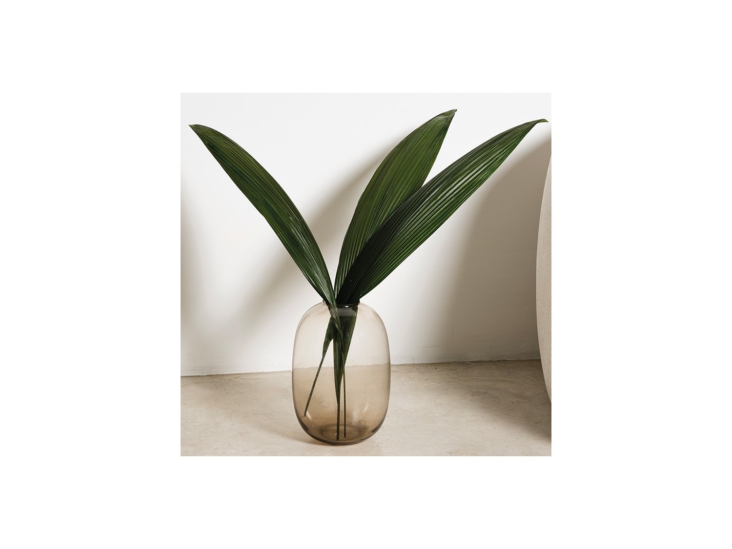 Stabilizuoti lapai "Palm grass"