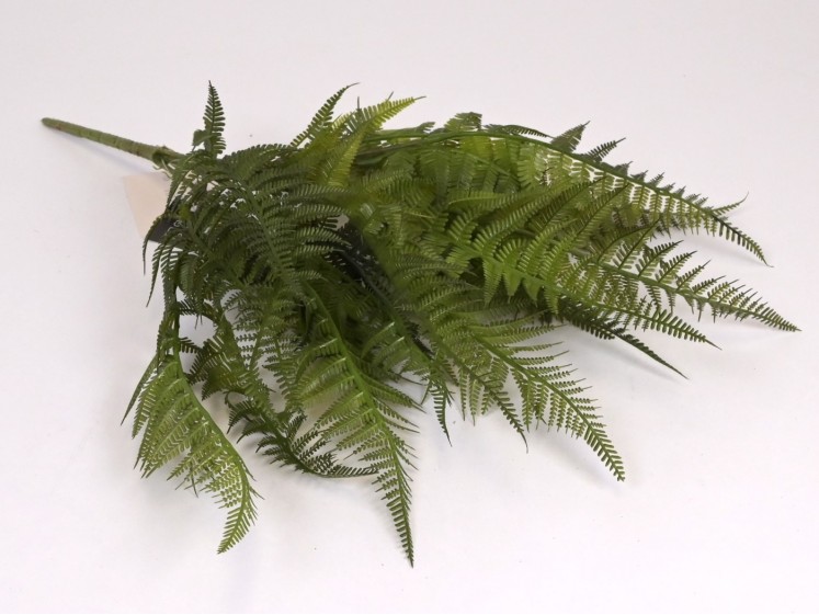 Dirbtinė žaluma papartis