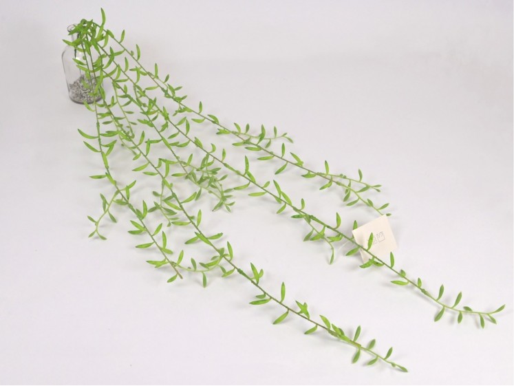 Hanging greenery