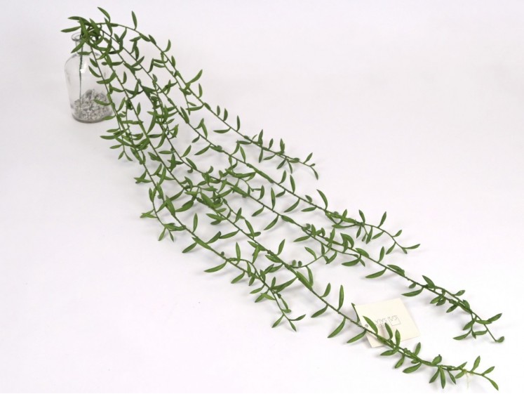 Hanging greenery