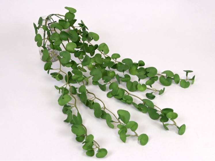 Kabanti žaluma (soft rubber)
