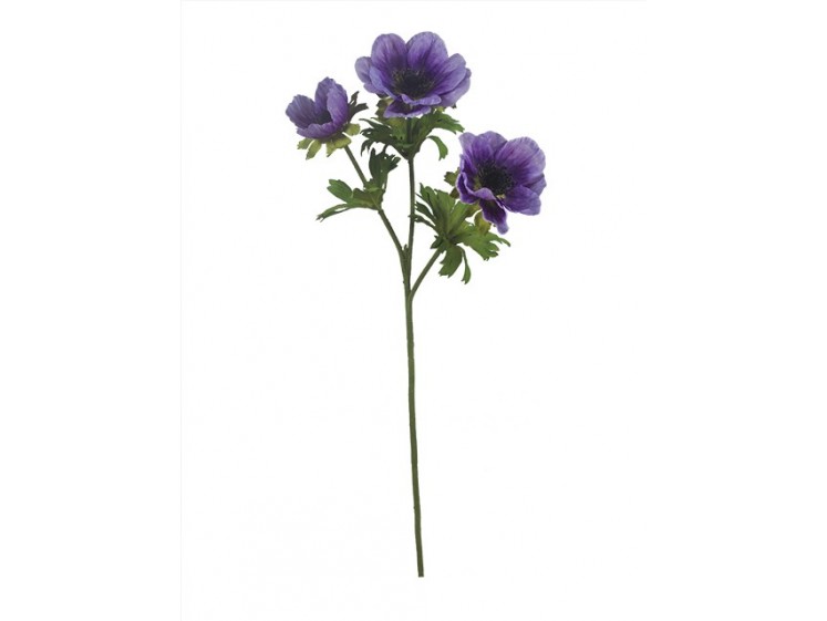 Anemonas