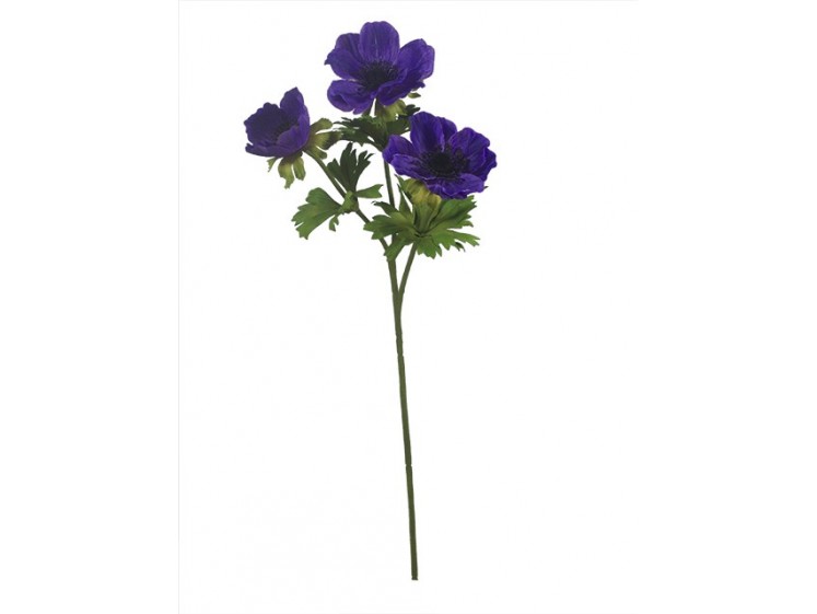 Anemonas