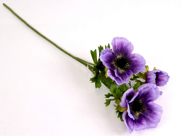 Anemonas