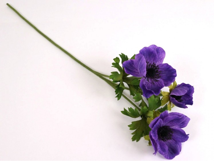 Anemonas