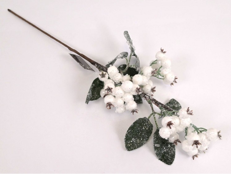 Branch of white berries