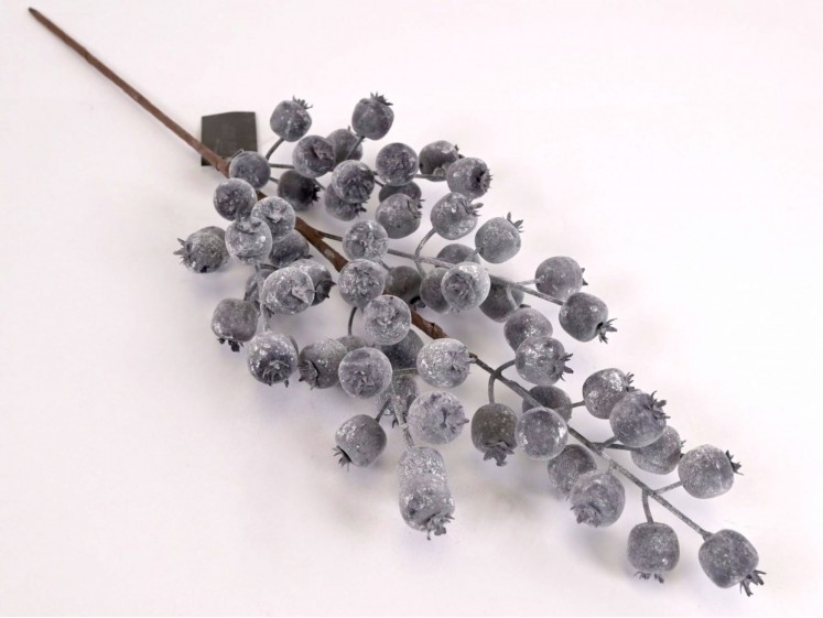 Branch with blue berries