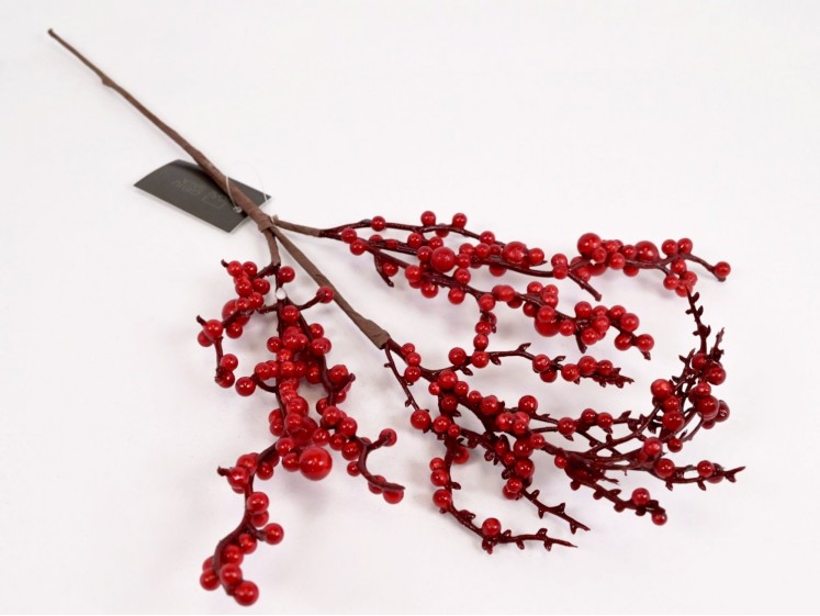 Red Berry Branches