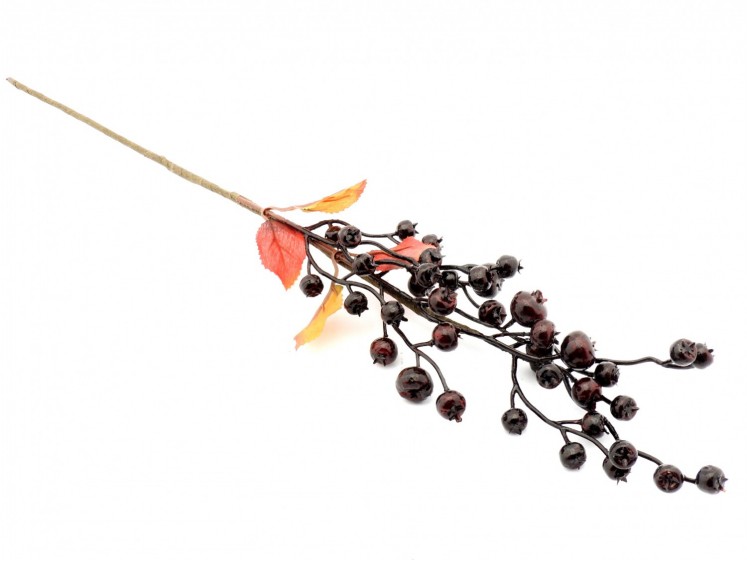 Dark Berry Branch with Leaves