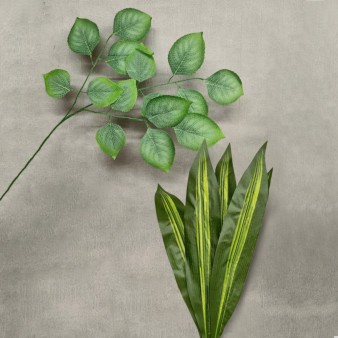 Low Price Leaves