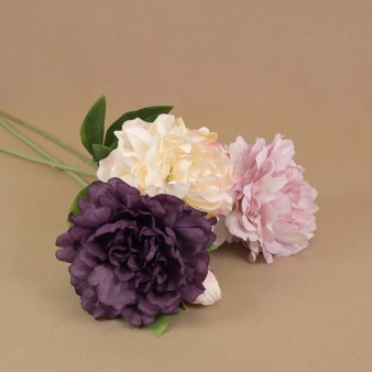 Hydrangeas, Peonies & Dahlias
