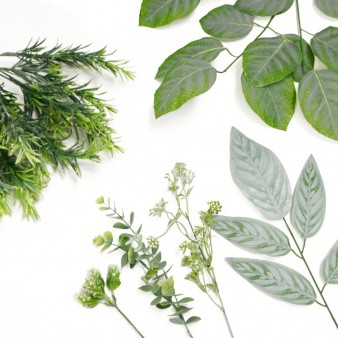 Leaves and Greenery